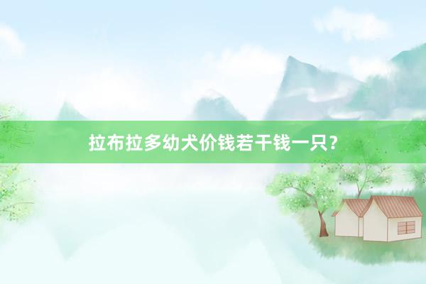 拉布拉多幼犬价钱若干钱一只？